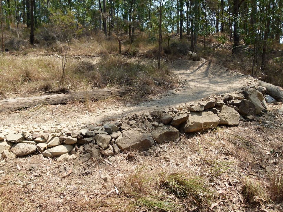 A newly raised trail tread